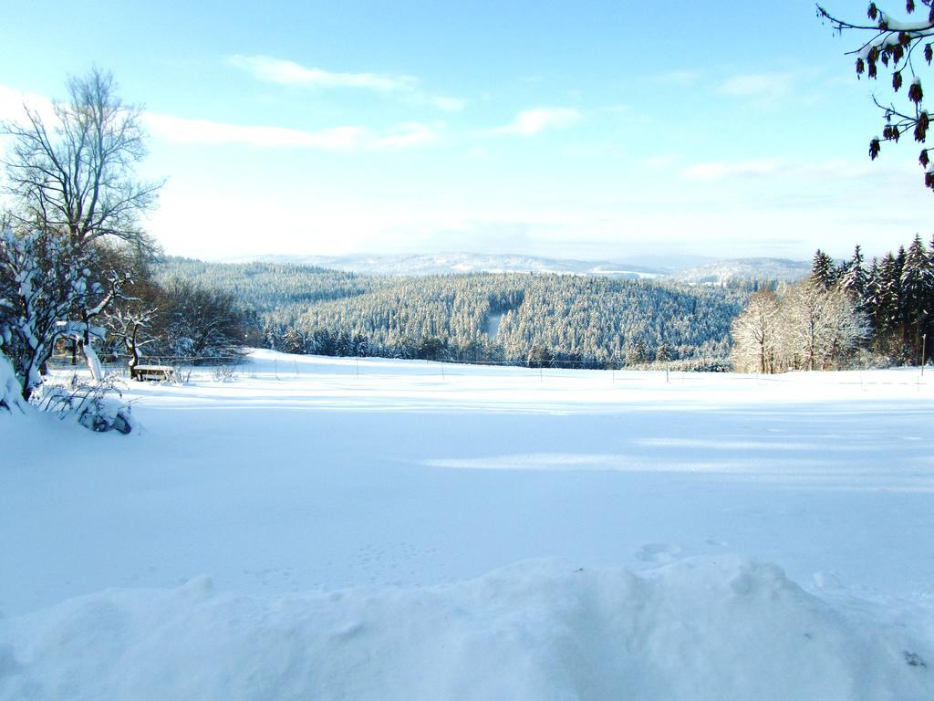 Ferienhaus Zopfhaeusl Villa Böbrach Екстериор снимка