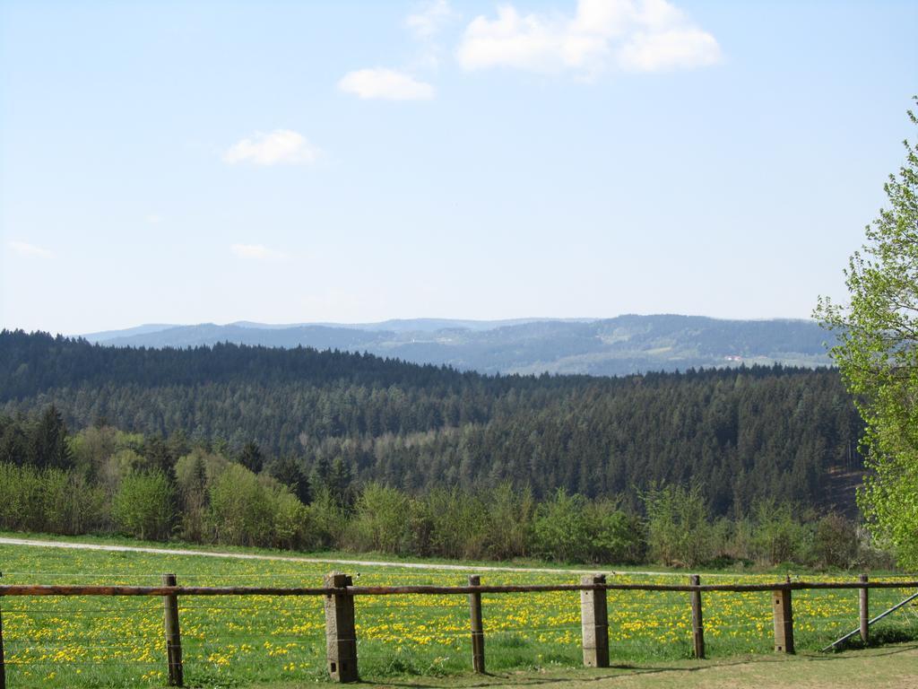 Ferienhaus Zopfhaeusl Villa Böbrach Екстериор снимка