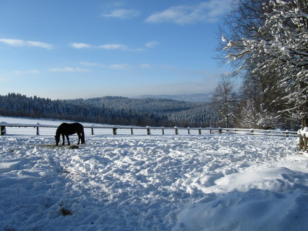 Ferienhaus Zopfhaeusl Villa Böbrach Екстериор снимка