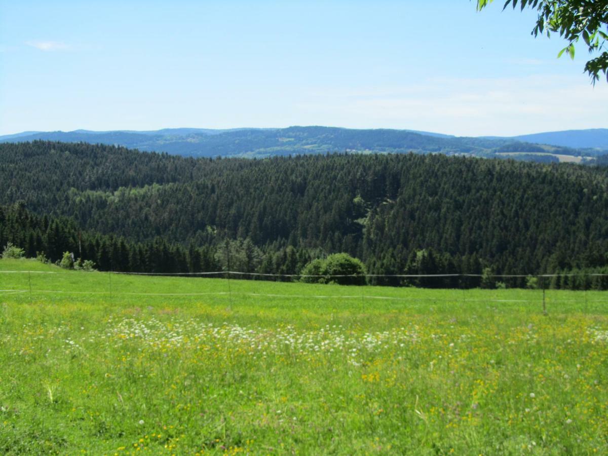 Ferienhaus Zopfhaeusl Villa Böbrach Екстериор снимка