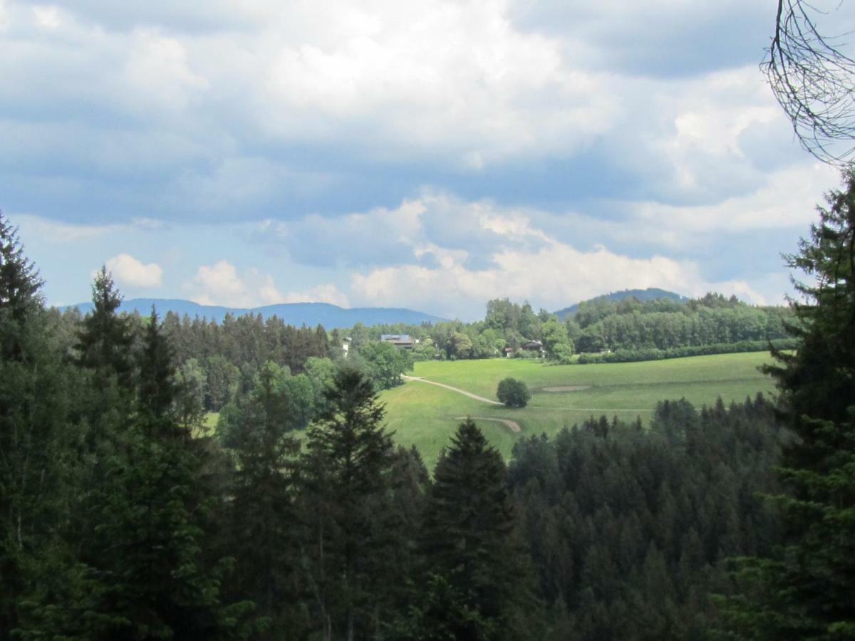 Ferienhaus Zopfhaeusl Villa Böbrach Екстериор снимка